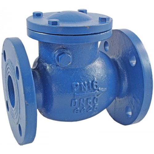 Клапан обратный чугунный Y-тип фланцевый 1,6 МПа RD30 АДЛ 50х200 мм в Нижнем Новгороде