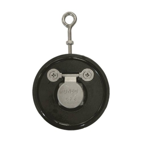 Клапан обратный стальной однодисковый межфланцевый 1,6 МПа Benarmo 50х16 мм в Нижнем Новгороде